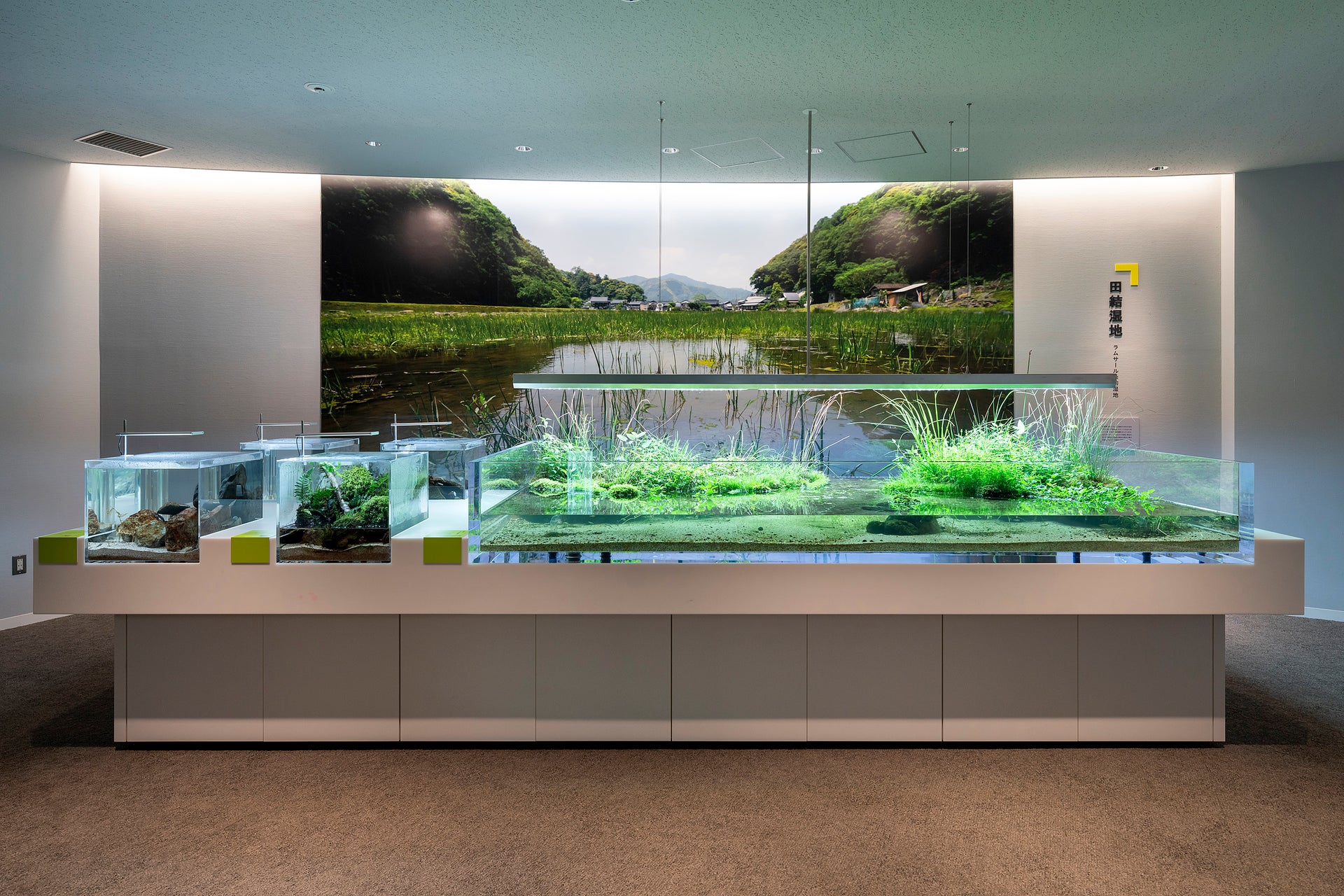 城崎マリンワールド SeaZoo2